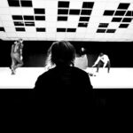 Der Kaiser von Atlantis / L'Hirondelle inattendue